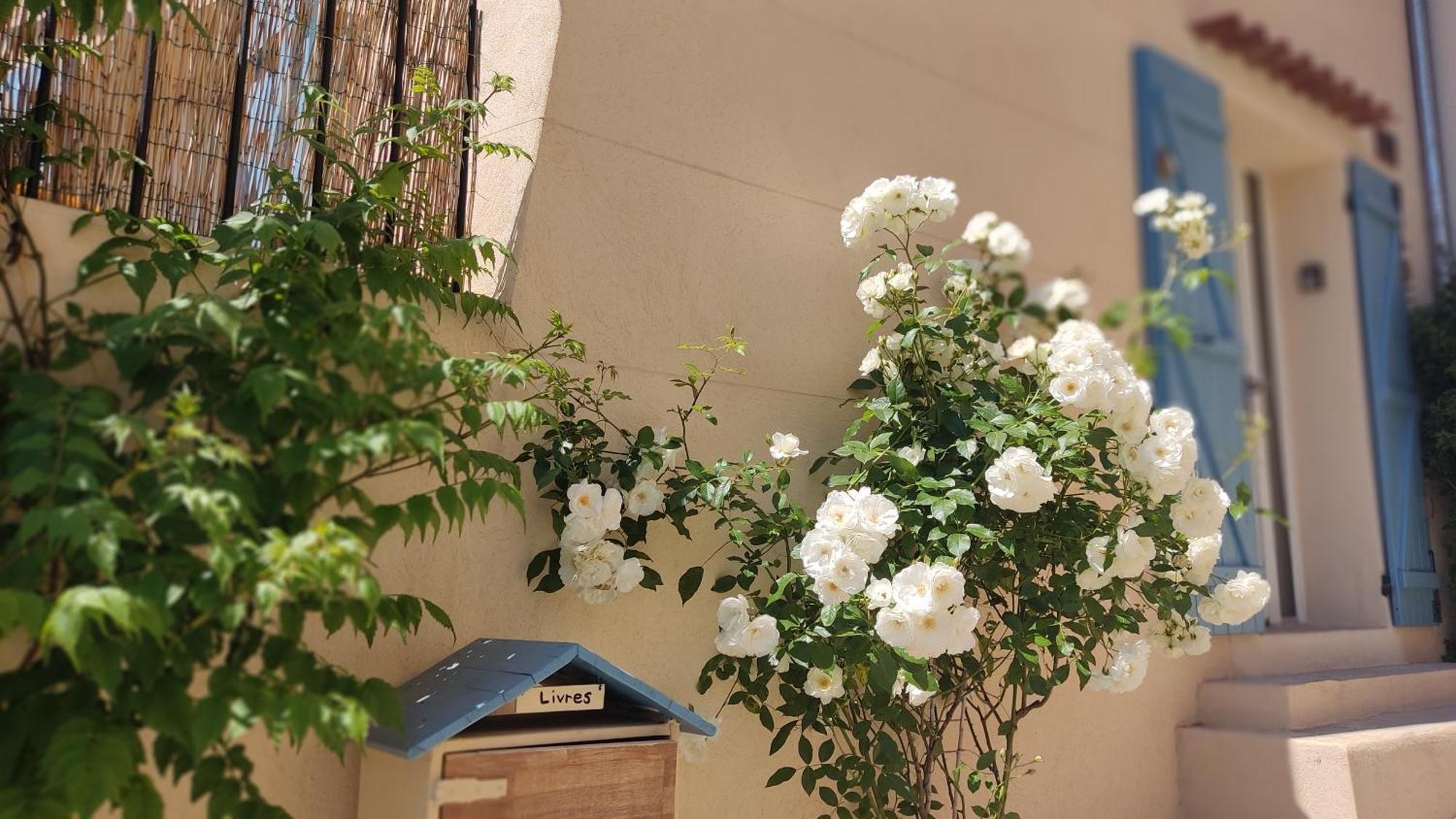 Petite Pause A Pourrieres, Appartement 40M2 Ngoại thất bức ảnh